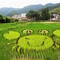 小月家「岛村食记」🇨🇳