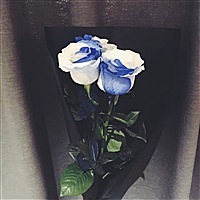小飞儿