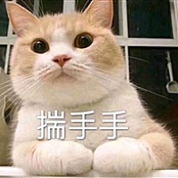 世界真细小