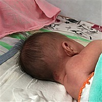 小军嫂澳洲代&虾米猫[帖主]