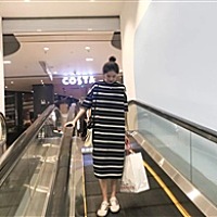 森巴兔