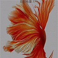芋头小丸子
