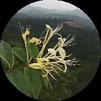 人依旧情难守