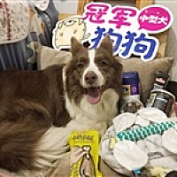 A-胡东妮家的动物园🎉