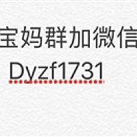 Dyzf1731