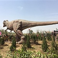 希成宝贝