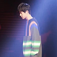 小兔子宝宝