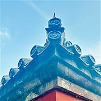 快乐小鸭