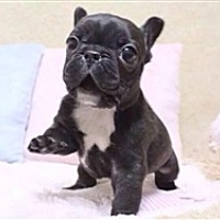 一个有情绪的女人