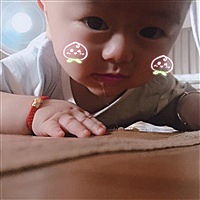 二十九