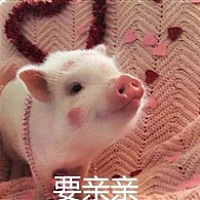 暴躁萝莉