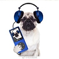 💃 威小幸福 💃