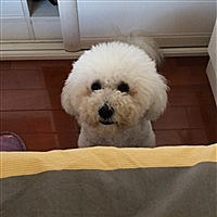 期待我的小宝贝