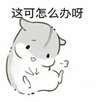 云朵儿