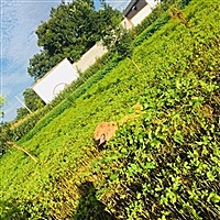 岁月静好