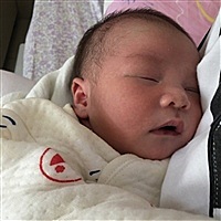 小恐龙