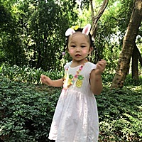 飞飞