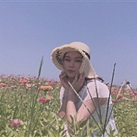 喵了个咪
