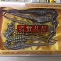 时光树里那位老宝妈