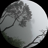 烟花易冷人易散