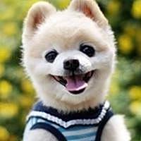 现实骨感