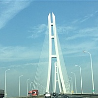 小青