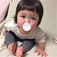 鹊