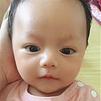 卫卫