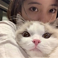 小圆子爱吃素
