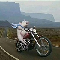 ！