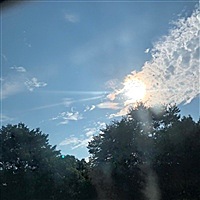 生个牛崽子