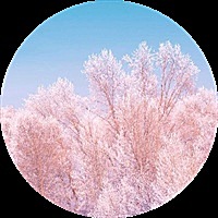 雯不是这个文