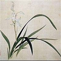 涅槃