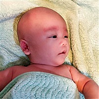 小恩宝