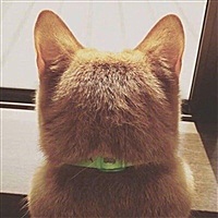 咪儿咪