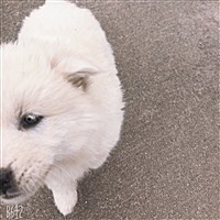 王媛