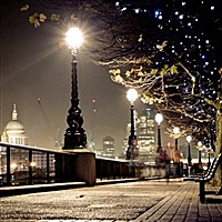 猪妈妈带猪宝宝