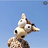洁儿