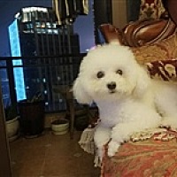 静^～^心