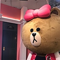只喝可乐的猫
