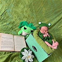 爱吃石榴的陈小姐👑👑