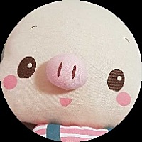 定居韩国的猪宝妈