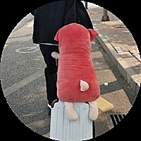 HYGJWv0o
