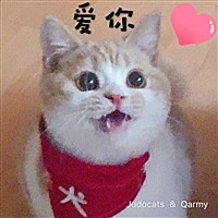 岑岑