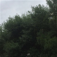 宝宝()
