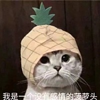 鸡鸡江        