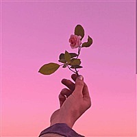 怀孕管家小北