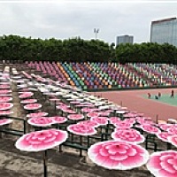 落叶