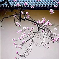 敏～