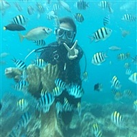 不可缺少的一部分